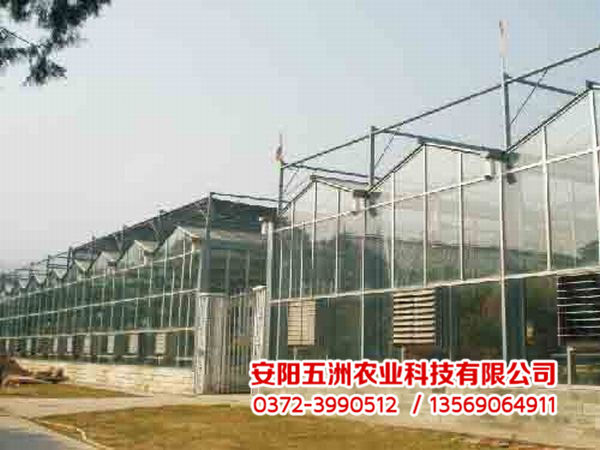 連棟大棚 連棟大棚