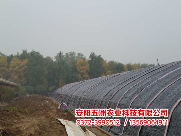 溫室大棚 溫室大棚