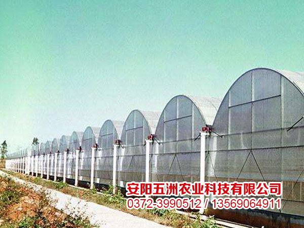 連棟大棚 連棟大棚